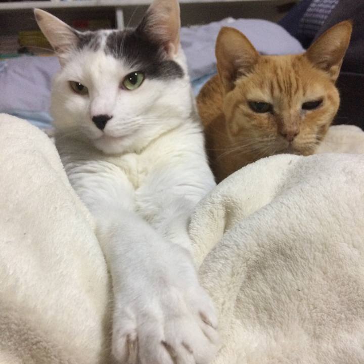 106e2402 dfe7 4a06 b157 ed89fdf97a14 1539312025222