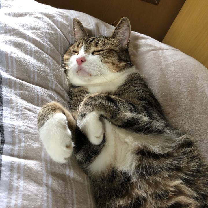 106e3c5d 08d7 4d7a aa8e ecc555f48d66 1631324413116