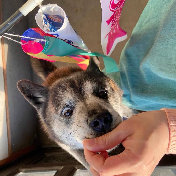 106e5412 159c 4921 978f 672f3c62424c 1714900664639