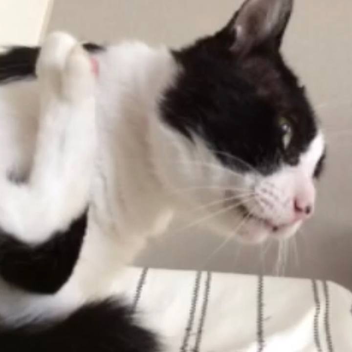 106e7f88 624a 4d8f a165 955fce7a48e8 1633012645859