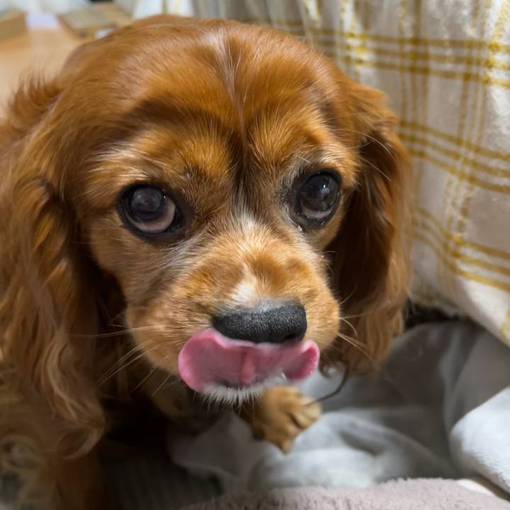 106e8603 7ff6 4100 a139 78b883971df0 1673562013826