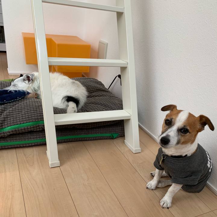 106ea5f8 f555 4c7c a069 a3b87dd3be70 1562996532365