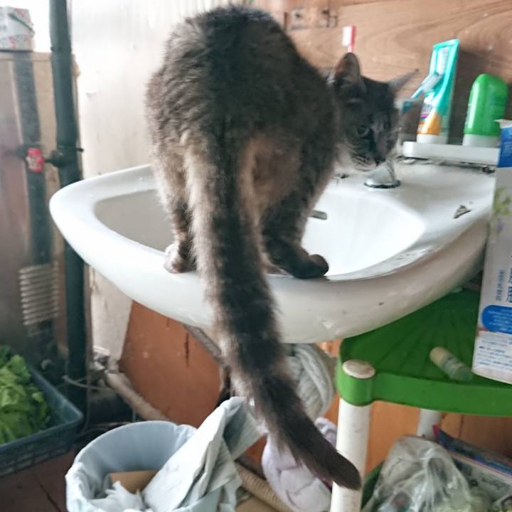 106ebb79 fe20 42b2 a2db 4cdcec9b49e8 1569880070393