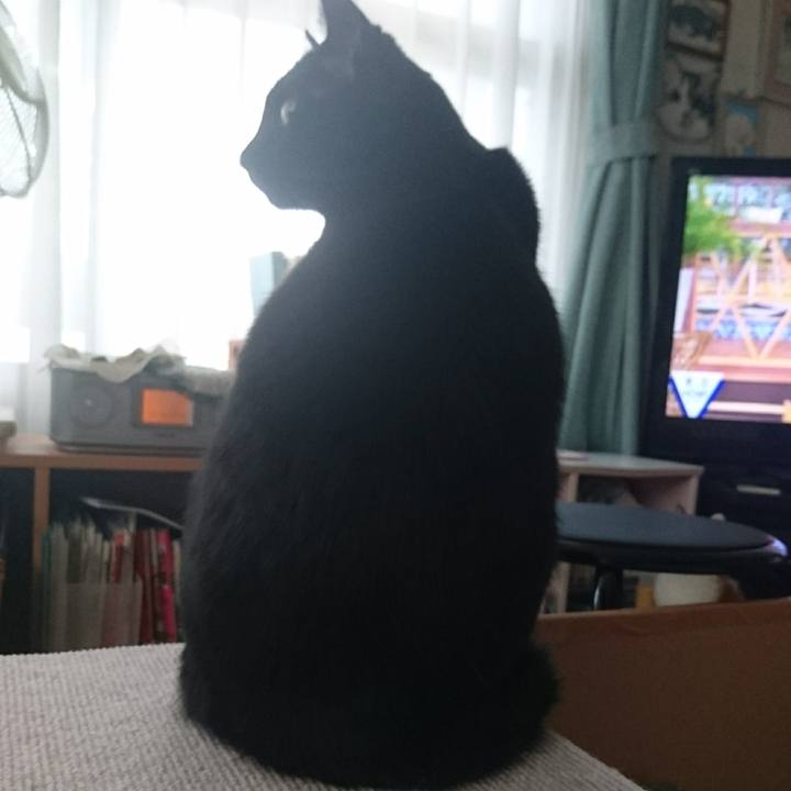 106ed2bb d665 44f5 9006 885557e189ed 1624055336575