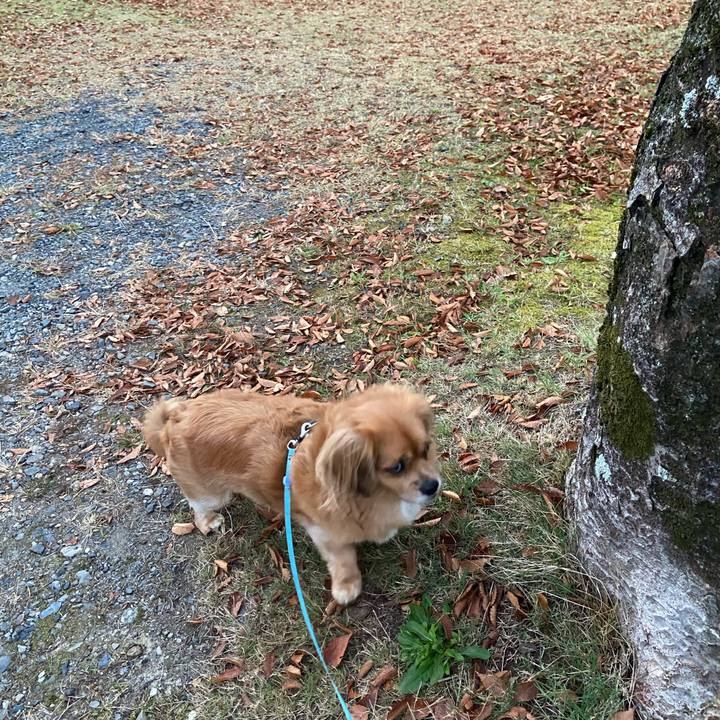 106ee4bb fa19 47ef 93f4 e661d21e3669 1606256182891