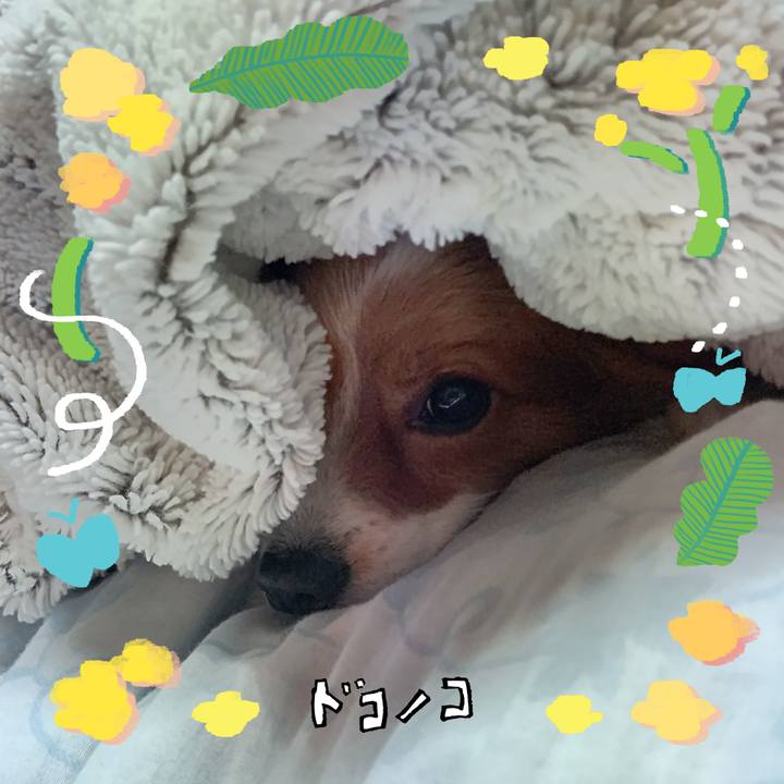 106ee6d2 e741 4672 9749 ad179c0cbc91 1744643655383