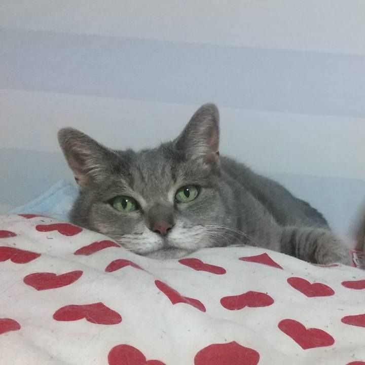 106f0744 78f0 43c1 b82e eaa330a7338a 1625755267560