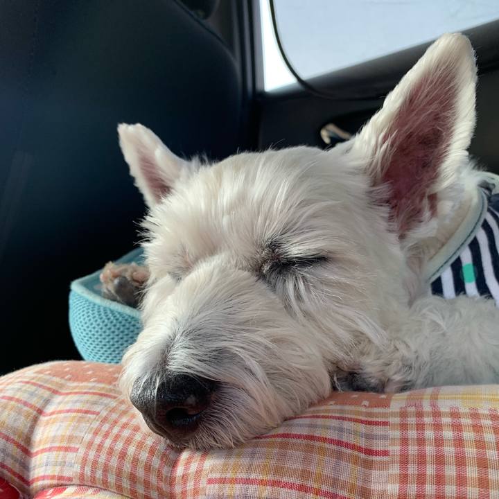 106f26e9 251c 4a37 802c e7617cbd45fe 1699268053684