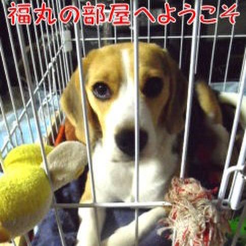 106f4b9c 1e2b 4c3e 82ad ad831c83033a 1684628010296