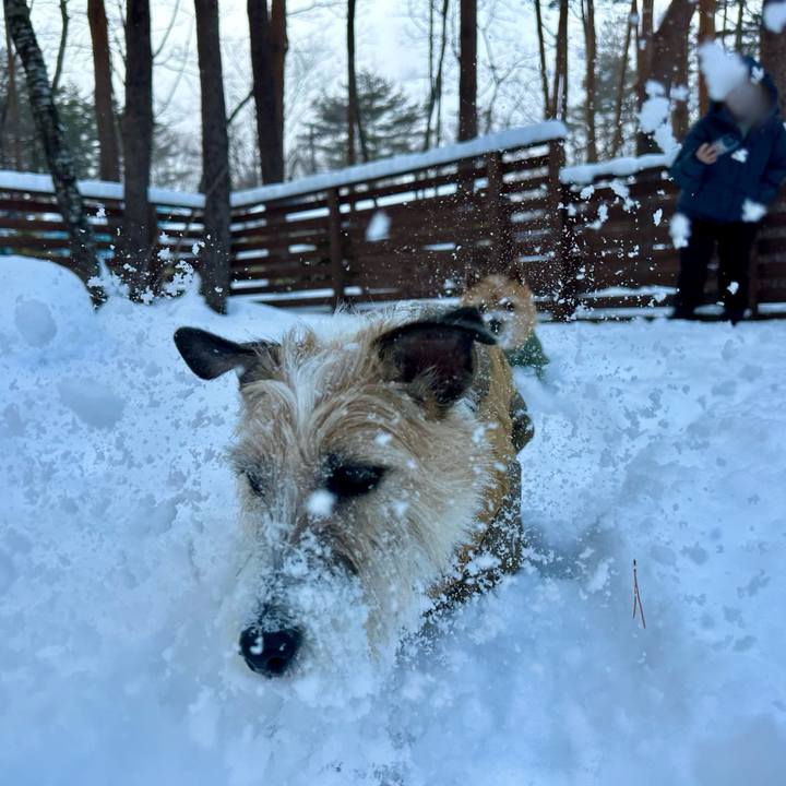 106f52e5 2fff 475a af0c b33a504ed9c7 1738332820783