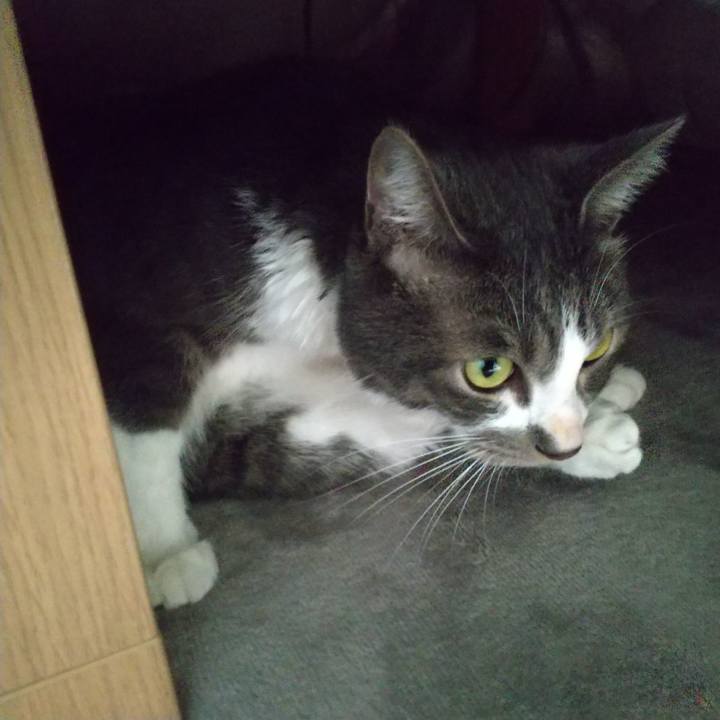 106f9e90 42f3 4514 8e4d 5649128fd87e 1604804493994