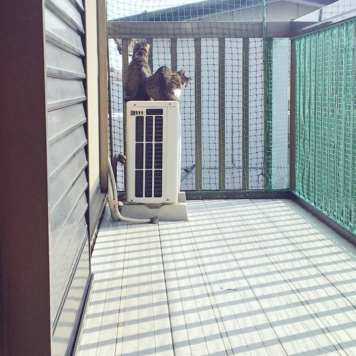 106fb8f7 81cc 469e 8544 5f89612ed5ac 1522319892421