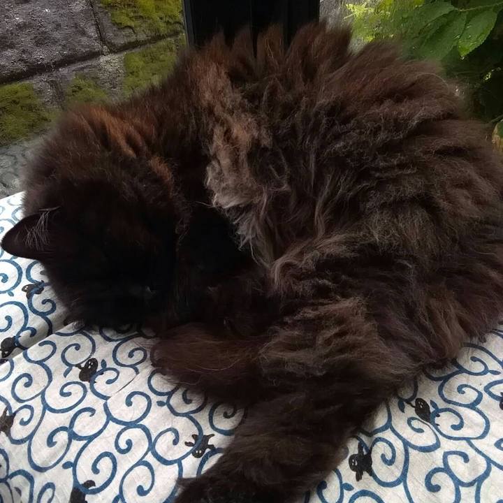 106fe8e4 60b5 41ad 9a04 13157dcfbbee 1528705628901