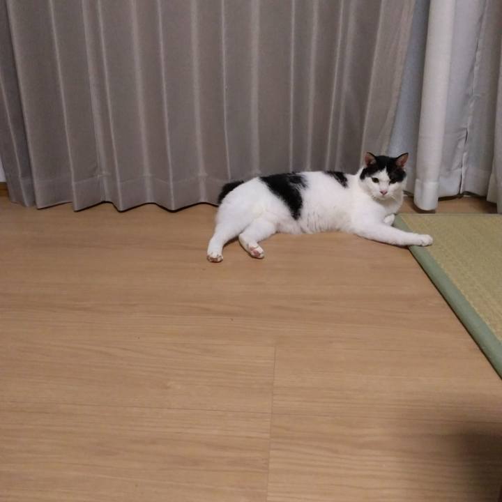 106ffb9d 6eae 454e 811a 6c3d6bec8673 1531233213996