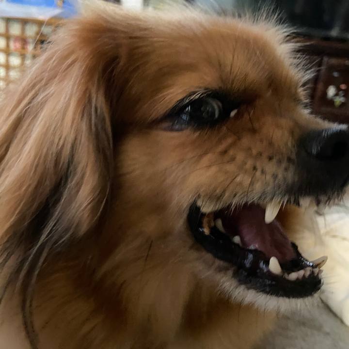 1070174e 0fc6 4b22 8e29 0b496212761c 1655240869167