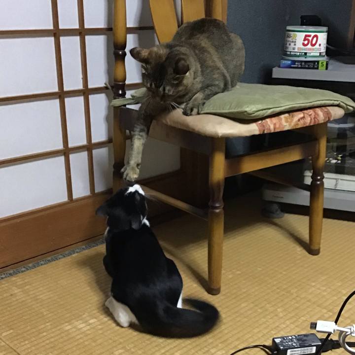 10702d3c ae4c 43af 80c1 9357b1005c98 1630059209718