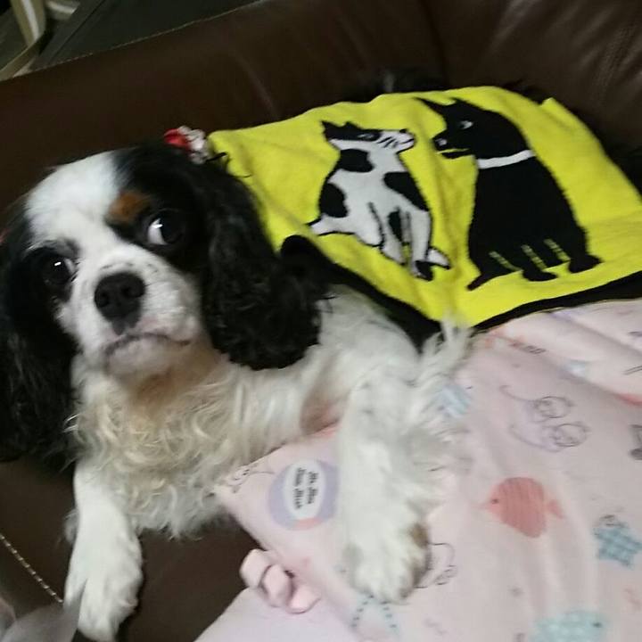 10707d44 3767 4cd3 b5b9 59305b3144ec 1538657925650