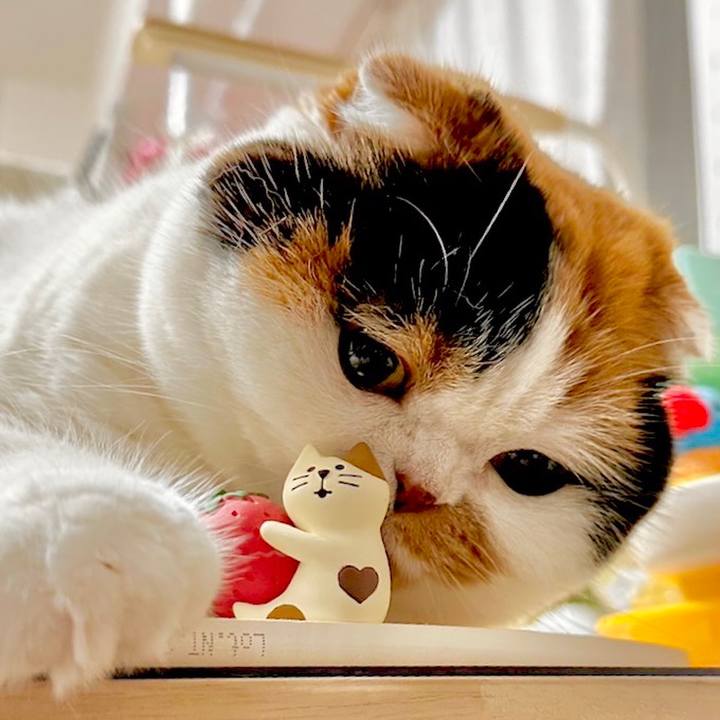 1070c5e4 d842 45f8 b951 541bb5c66e59 1675654375159