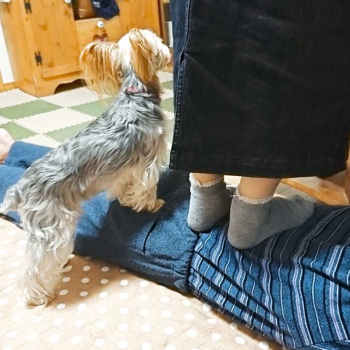 1070c8d2 a2cb 4784 8aa0 45ea738c9807 1542371238251