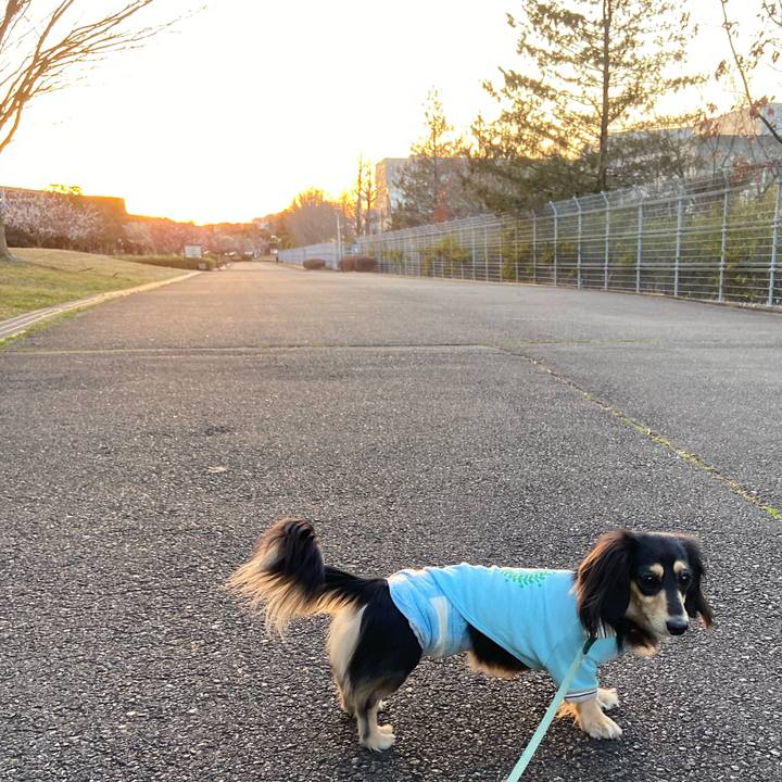 1070e646 e167 4867 ab37 8b7fd05fff1e 1709108858487