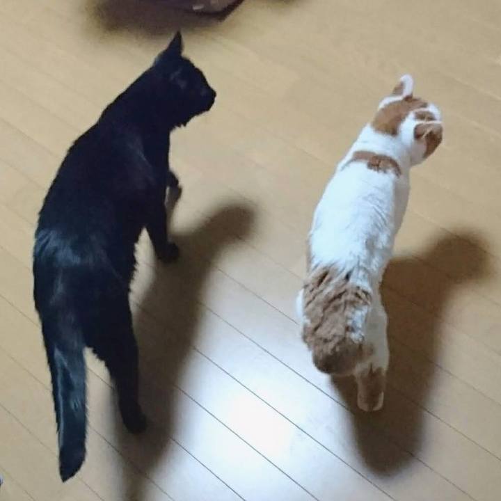 1070f6ce 5917 4776 a5cf f461036cebb3 1671340850655