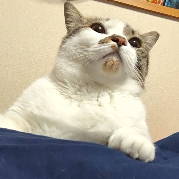 107105bc 0046 45c9 a3c8 f4812b11da54 1713626245009