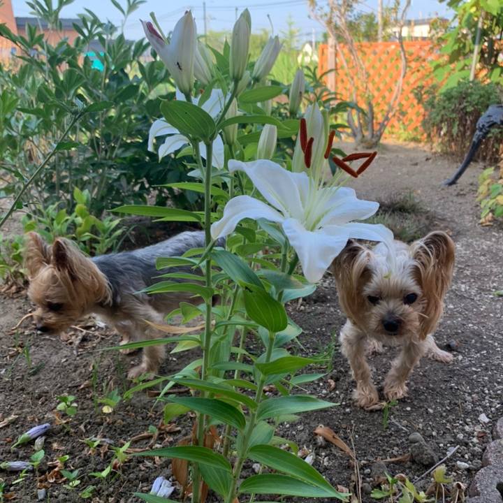 10711343 5d98 4d04 b139 4c709b87cc8a 1628332011315