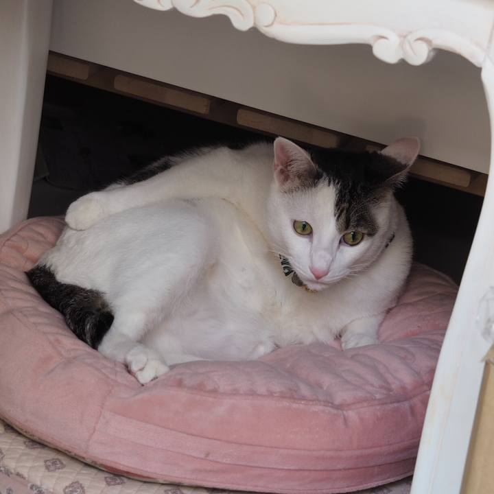 10711dc0 f6f8 4f93 92eb 4b8895ec0419 1524487902446