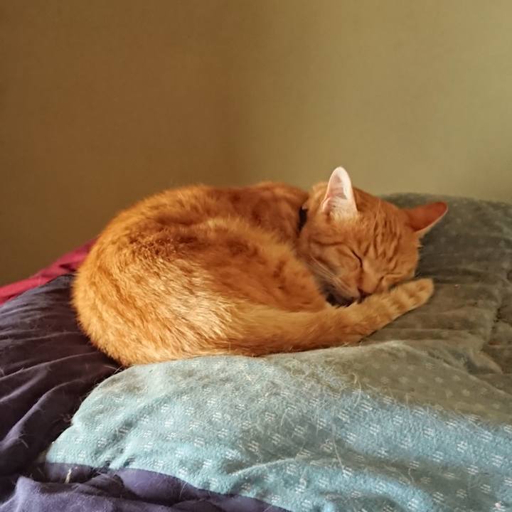 10713ea9 f373 411f 9ad1 55fad0df203e 1592019549075