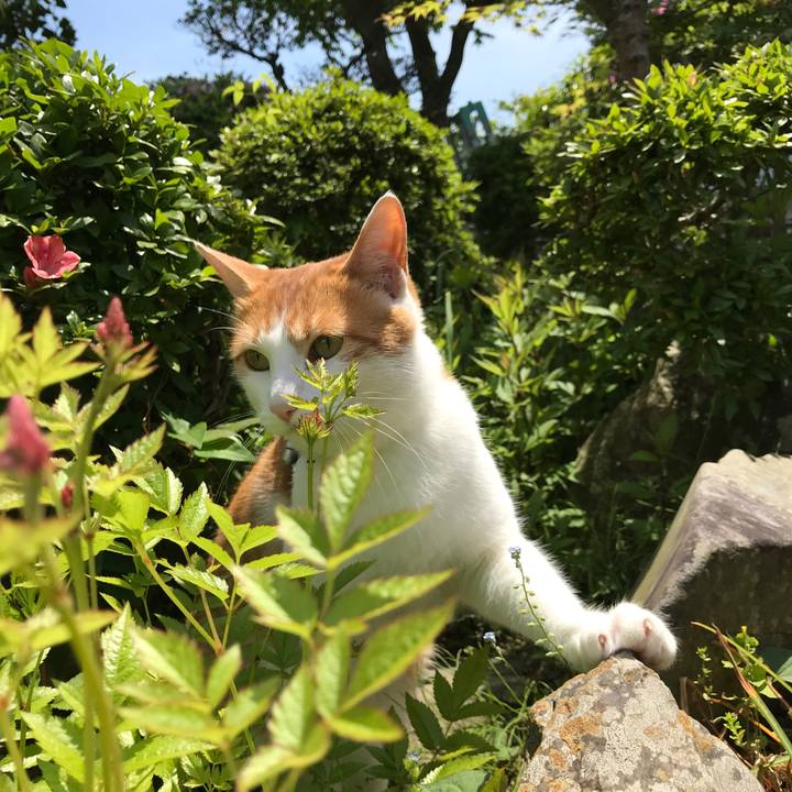 10714896 c026 4303 8b68 2f0232ba59dd 1526872247523