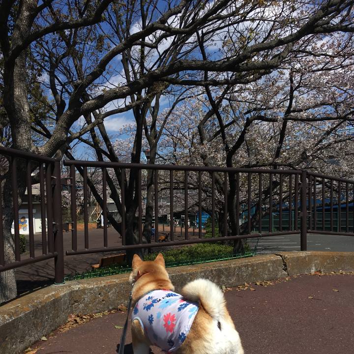 10715b14 a196 49ed b0b0 e9d17fc839a0 1554177156895