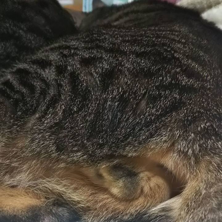 1071bcce 7de5 4fff 8ed2 3130e3d43aa1 1616584813997