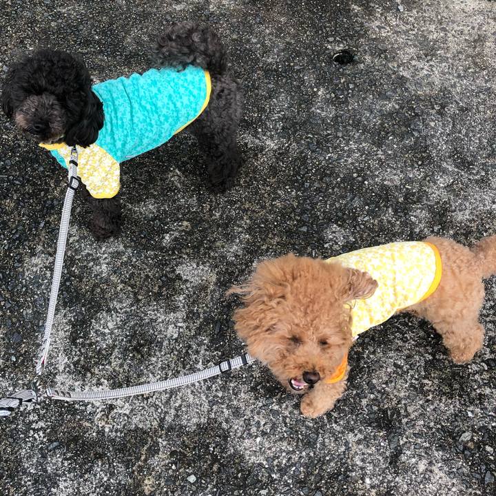 1071c8bd 3b8b 425d 9ffe 286e5b0f8245 1595991811460