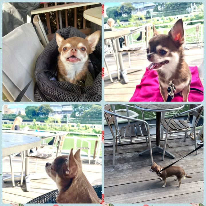 1071d1cb a062 45fc a31d fccc6768425d 1761625138859