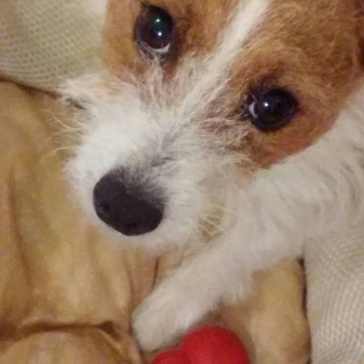 10720395 1195 479d a488 419472f5e4b1 1536746611357