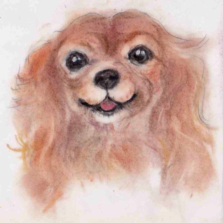 10721c9d a200 4727 b455 ef852c08edcc 1631592547076