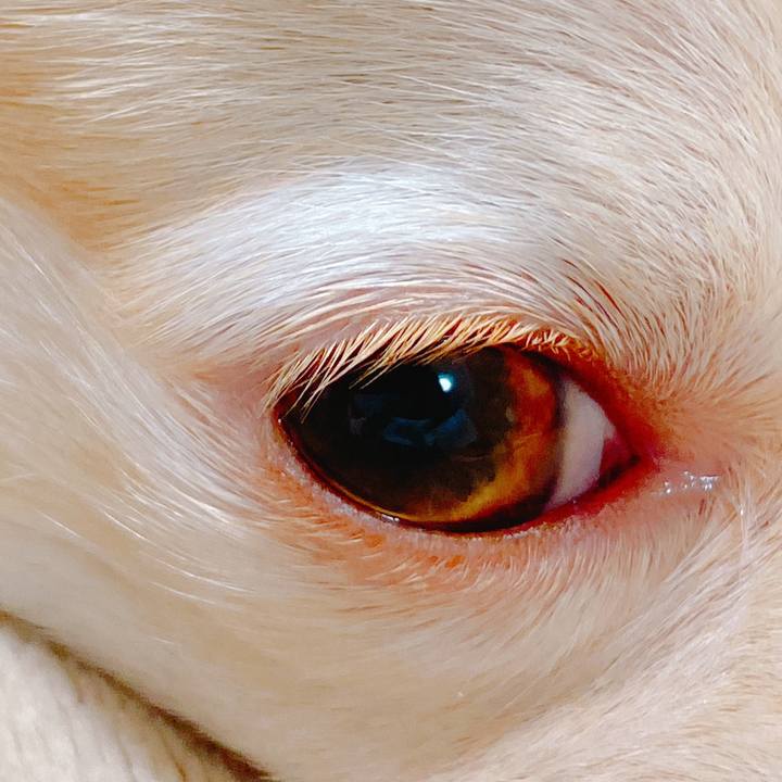 10722070 9134 4850 a1de 2fab1246cc71 1642242234511