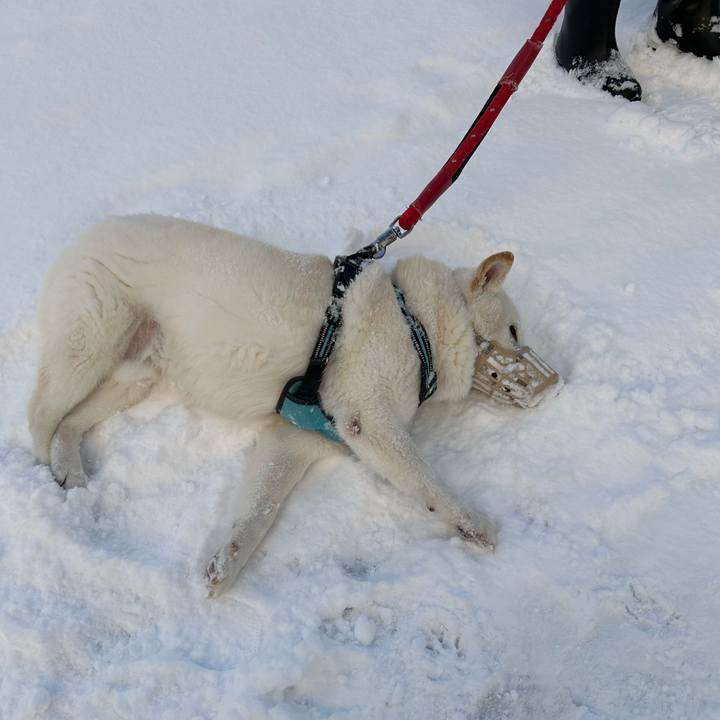 1072295f 91c2 4708 a5e3 25144e4dfb3b 1735953464993