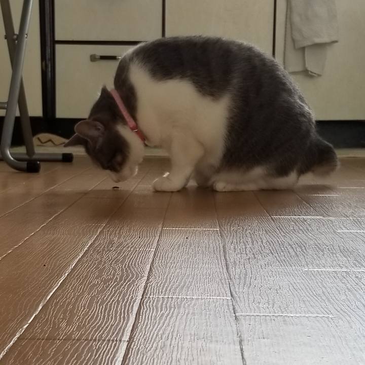 107277fc 7716 415a b5d3 4fb6f8b17118 1587042999078