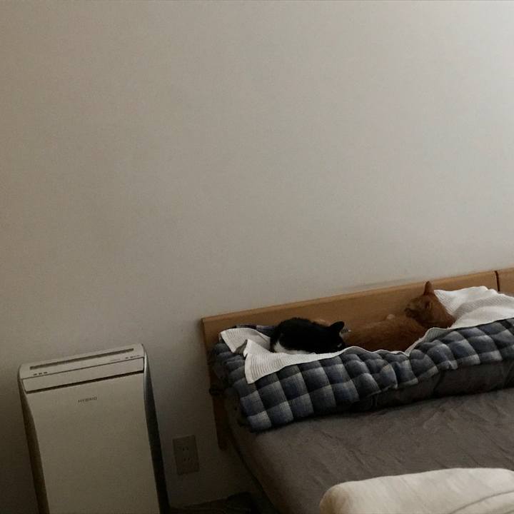 1072bb5f 89ba 496d 999a c283e28b4711 1565750087726