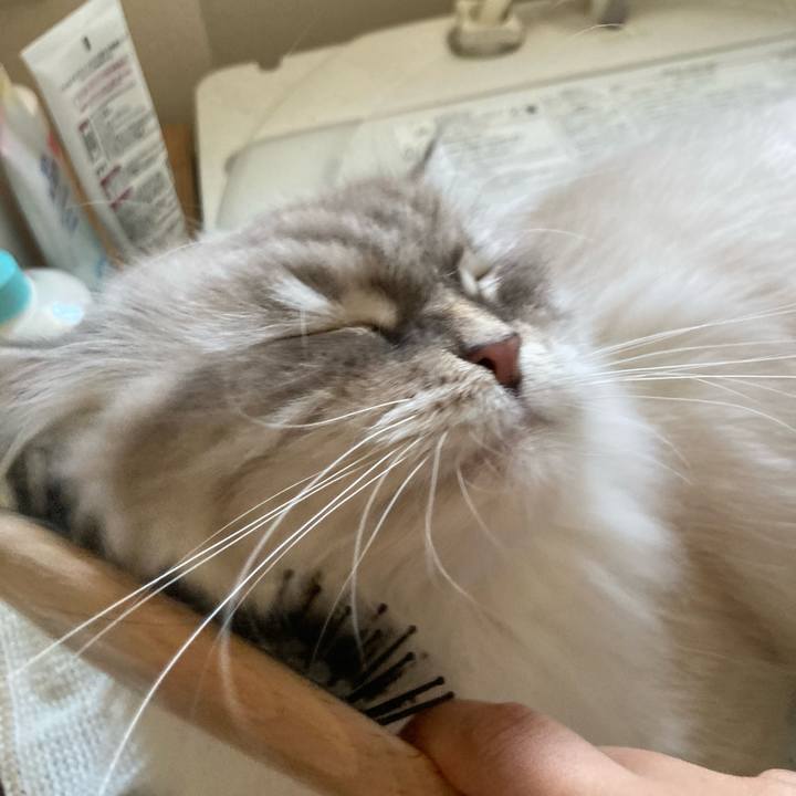 1072c73f 1ef8 4cb3 bb31 a73f5ec55090 1724568066317