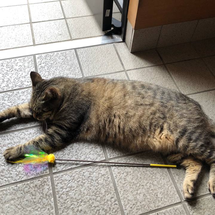 1072ca29 4b6c 437d 8905 f45a74a194a9 1530963339579