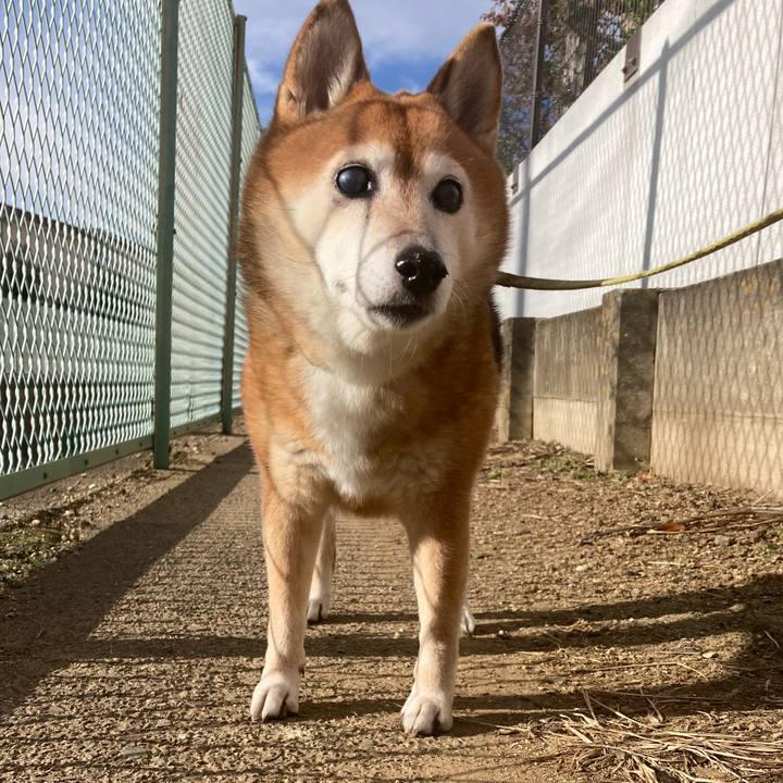 1072d318 e926 415c b06c ad9833e54acd 1698018585288