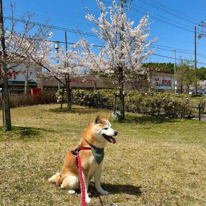 1072d563 d9c1 4adb 8db1 c8ea89a20301 1744880199085