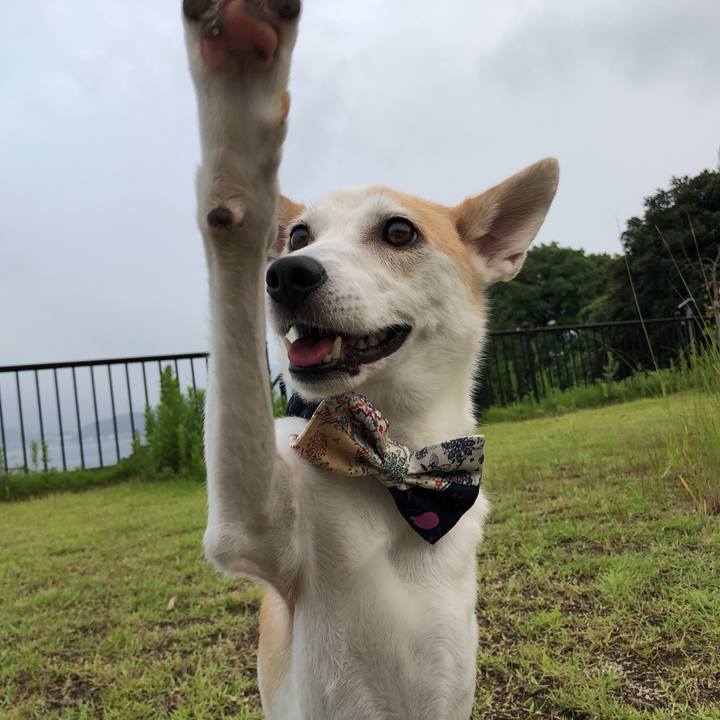 10730e26 c62d 4764 b28f eab2665ff17e 1596798935301