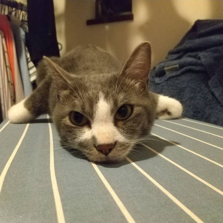 10731bdb 29c4 4225 b5a8 af56635d4961 1624108109577