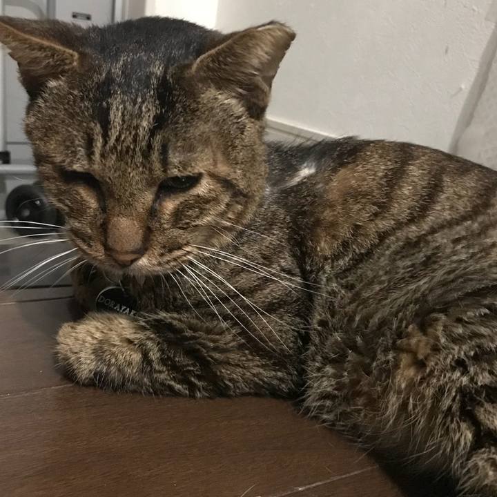 10731dd3 79b7 45fe 85a8 530d06112da9 1539198615284