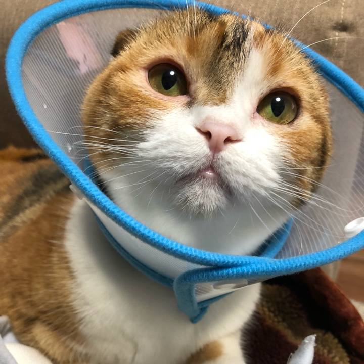 107351fa 968a 471f a835 e3cf188e9d34 1525949545058