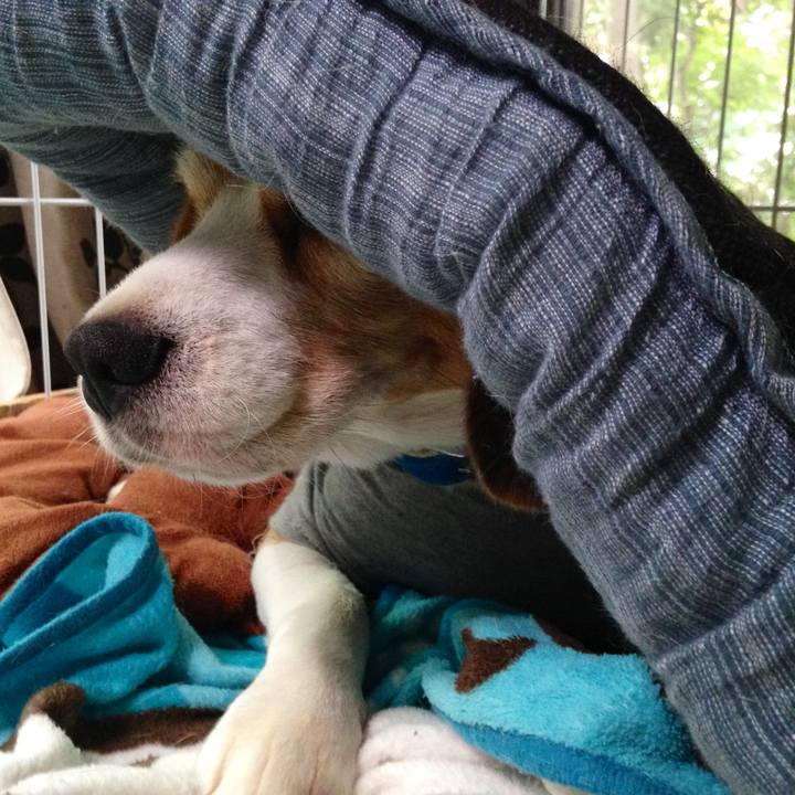 107352d6 bd26 45ee ab7b 0a1f5b24da98 1756701230132