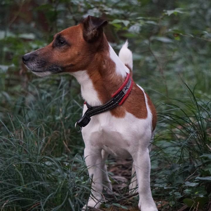 1073764d 50e0 43f4 821a bcc44b6eafe6 1537311466325